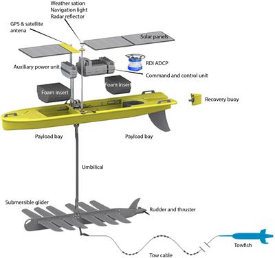 Fish Spawning Aggregations Dynamics as Inferred From a Novel, Persistent Presence Robotic Approach